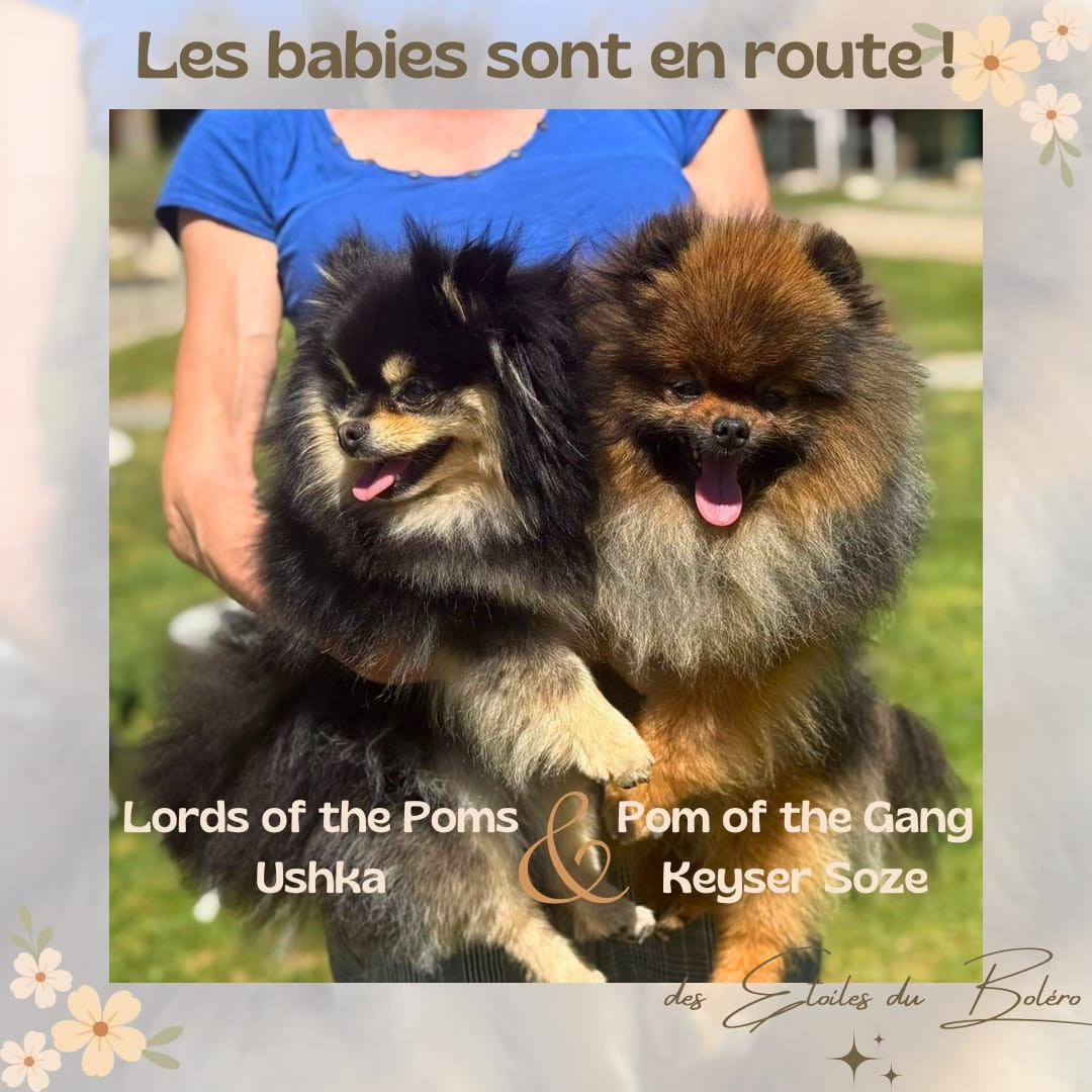 Des bébés pour fin juin 